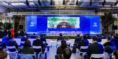 京津冀運(yùn)河文化旅游城市合作組織 以文化藝術(shù)交流為紐帶，共繪協(xié)同發(fā)展新畫(huà)卷